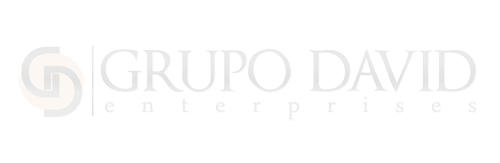 Logo-Cliente-Viral-Connections-Grupo-David-500-x-163